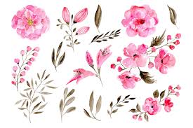 We did not find results for: Romantic Pink Watercolor Flowers Roses By Watercolorflowers Thehungryjpeg Com