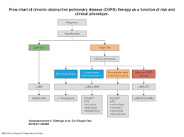 Maybe you would like to learn more about one of these? Flow Chart Of Chronic Obstructive Pulmonary Disease Copd Therapy As A Function Of Risk And Clinical Phenotype Flow Chart Of Chronic Obstructive Pulmonary Ppt Download