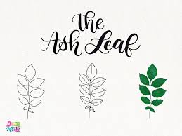 Join millions of learners from around the world already learning on udemy. 7 Ways To Draw Fall Leaves Dawn Nicole