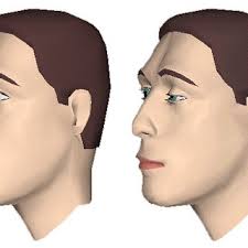 Roberto Pockaj's research works