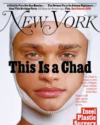 She knows that the only way to get answers about this mysterious author is to go undercover. New York Magazine May 27 2019 Issue