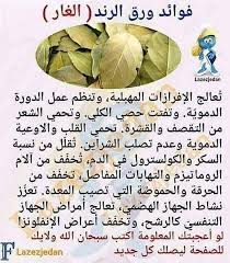 Beautiy Tiips فوائد ورق الغار يغلى مثل الشاي Health Facts Fitness Organic Health Health Fitness Nutrition