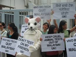 Check spelling or type a new query. Start An Animal Rights Group In 5 Easy Steps