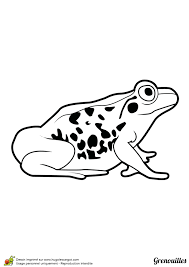 page 43 sur 47 hugolescargot com coloriage grenouille poisson pokemon dur