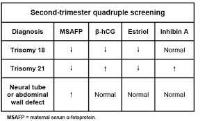 Image result for Quad Screen