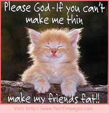 Maybe you would like to learn more about one of these? Funny Cat Quotes My Blogfunny Lol