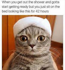 Pin By Kimberly Stover On This Side Up Funny Memes Funny Gif Funny Animal Memes