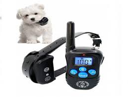 Top 10 Best Shock Collars For Small Dog In 2019 Reviews Disneysmmoms Dog Training Collar Training Collar Dog Training