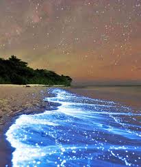 Maldives sea of stars maldives beach maldives islands maldives travel ocean beach maldives resort mauritius island blue beach sunset beach. Sea Of Stars Vaadhoo Island Sea Of Stars Travel Places To Travel