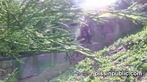 I like this video i don't like this video. Passion Hd Housewife Sexual Duties Wedno