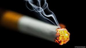 Camels can carry up to 200 lbs on their back for distances in the heat. Hypnotherapy Helps Smokers Kick The Habit Science In Depth Reporting On Science And Technology Dw 06 01 2015