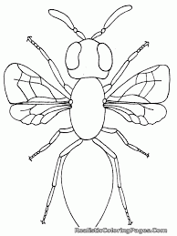 We did not find results for: Free Printable Insect Coloring Pages For Kids High Definition Coloring Home