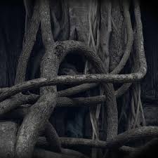 Two days later, the couple put the freshly cleaned head in a box and dumped it in an alleyway. Stream Who Put Bella In The Wych Elm By Thielus Grenon Listen Online For Free On Soundcloud