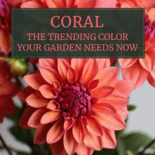 When corals are stressed by changes in conditions such as temperature, light, or nutrients, they expel the symbiotic algae living in their tissues, causing them to turn completely white. Coral Flowers The Trending Color Your Garden Needs Now Longfield Gardens