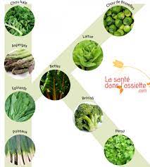 Vitamine K Medecine Integree
