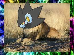 Luxray as a real animal...? | Pokémon Amino