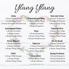 Ylang Ylang Diffuser Blends Ylang Ylang Essential Oil Benefits Essential Oil Combinations Essential Oil Diffuser Recipes