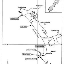The android/iphone/blackberry/kindle friendly app was developed in the united states, and also has a great cloud interface for pcs and notebooks. Map Of Study Area At Ninety Mile Beach Northern New Zealand Four Download Scientific Diagram