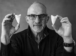 Shark Jaw & Skeleton Cleaning