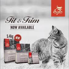 Its nutrient profile is significantly above average and it provides an extremely high proportion of protein. Orijen Sg Orijen Fit Trim Cat 5 4 Kg Launch Facebook