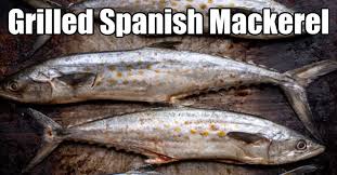 How do you cook fresh mackerel? Whole Grilled Spanish Mackerel 20 Minute Recipe Kitchen Laughter
