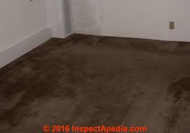 How can you prevent carpet mold? Photographic Guide To Mold Mold Growth On Or In Cars Rvs Boats Aircraft Trucks Mold On Carpets Carpet Padding Mold On Cds Mold On Cedar Mold On Ceiling Fans Mold On
