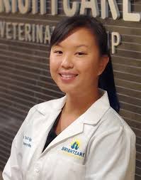 Emergency Vet in Mission Viejo