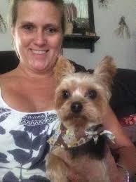 EverShine Dog Grooming