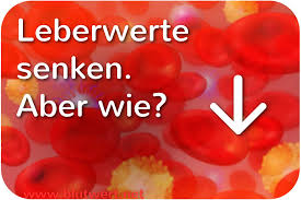 Erhohte Leberwerte Senken Aber Wie