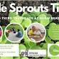 Little Sprouts: 5toONE Playgroup event image