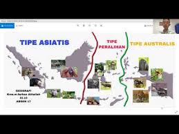 Berbagai flora dan fauna di peta indonesia. Presentasi Peta Persebaran Flora Dan Fauna Di Indonesia Dilengkapi Gambar Hewan Dan Tumbuhan Endemik Youtube