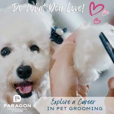 ❤️Love Dogs and currently work as a bather? ✂️Level up your career as a  professional 🐩 groomer with ParagonPetSchool.com! Our online guided  program was built