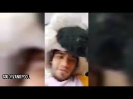 Panda Muestra Su Cara En Instagram Yolo Aventuras Youtube • we know the pandas bring you joy, and in these extraordinary times, we're glad. panda muestra su cara en instagram