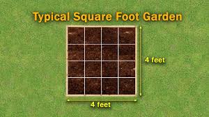 Square feet to square meters (sqft to sqm) converter, formula and conversion table to find out how many square meters in square feet. Square Foot Gardening Basics Family Plot Youtube