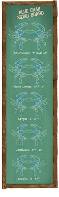 blue crab sizing board blue crab trading co