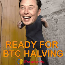 This decision from tesla sent the bitcoin (btc) price. Bitcoin Elon Musk Gifs Get The Best Gif On Giphy