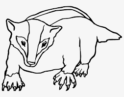 This article created on the june 7, 2021, by alisha legerstee. Badger Clipart Black And White Honey Badger Colouring Pages 795x567 Png Download Pngkit
