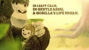 He hadn't seen another gorilla or felt the grass. Ivan Book Trailer The Remarkable True Story Of The Shopping Mall Gorilla Youtube