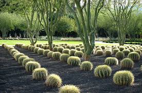 Will Need To Visit This Place On Our Next Trip To Palm Springs Landscape Design Xeriscape Succulent Landscape Design