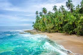 Download deze gratis afbeelding over costa rica strand van de bibliotheek met afbeeldingen en video's van het openbare domein van pixabay. Sonne Strand Und Meeresrauschen Die Schonsten Strande Costa Ricas Photo Adventure Blog