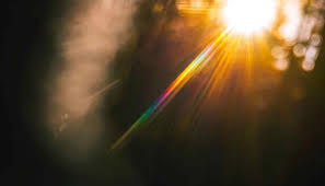 Image result for "lens flare"
