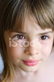 Bezpłatne zdjęcia stockowe i obrazy close up