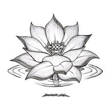Lotus Flower Google Search Tattoo S Pinterest Lotus Flower Liked On Polyvore Fea Lotus Tattoo Design Lotus Flower Tattoo Design Black Lotus Tattoo