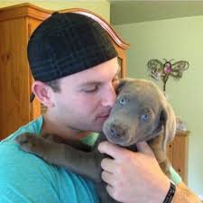 Gunner The Service Dog