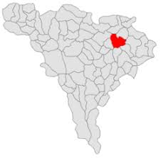 Codul poștal este o serie de litere sau cifre (ori o combinația acestora) adăugate adresei poștale pentru scopul sortării corespondenței. Commune Of Lopadea NouÄƒ Alba Familypedia Fandom