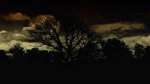 Scary sounds of the season krb music companies 2007 00:00 haunted cemetery 14:21 the monster sounds to scare screaming roaring monster sound effects library support this ad free. Horror Music Scary Sounds Youtube