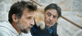 Mark Koba's Instagram, Twitter & Facebook