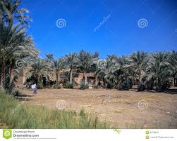 Find the perfect memphis ägypten stock photos and editorial news pictures from getty images. Dorf Durch Memphis Agypten Stockbild Bild Von Vertiefung Oasis 82756679