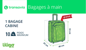 Avant de prendre place à bord de l'avion, les dimensions des bagages à main et en soute sont contrôlées avec minutie. Deux Bagages En Soute Pasteurinstituteindia Com