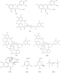 Image result for Terminalia macroptera